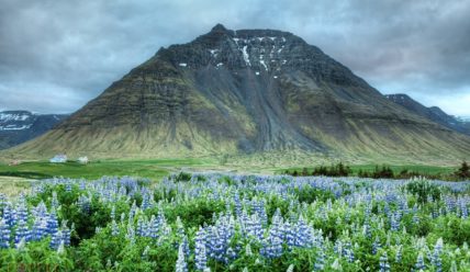 Преимущества и недостатки эмиграции в Исландию