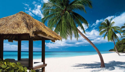 Пальмы, море, белые песчаные пляжи и не только — советы по эмиграции в Доминикану