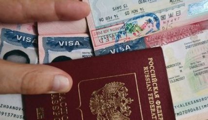Где узнать номер шенгенской визы?